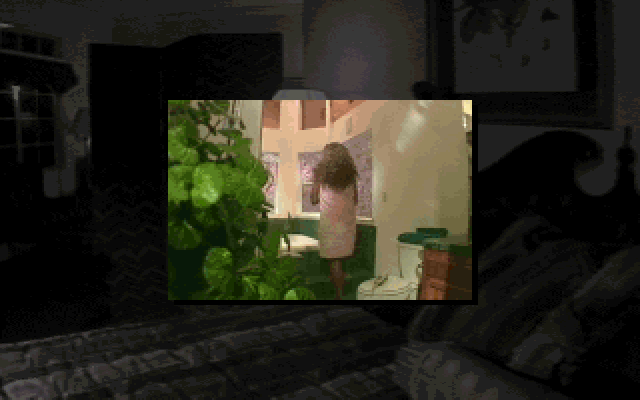 Man Enough (DOS) screenshot: Quinn - Video of her taking a bath.