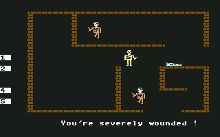 Beyond Castle Wolfenstein (Commodore 64) screenshot: You're gonna die anyway