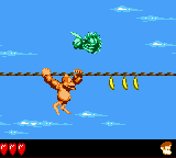 Donkey Kong Land III (Game Boy Color) screenshot: Climbing a rope underneath a dangerous Buzz