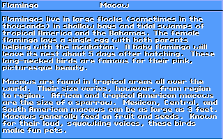 Electric Crayon 3.1: At the Zoo (DOS) screenshot: Description of Flamingo and Macaw (VGA 256)