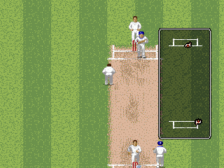 Brian Lara Cricket '96 (Genesis) screenshot: On the field