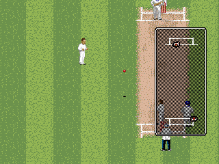 Brian Lara Cricket '96 (Genesis) screenshot: Successful hit