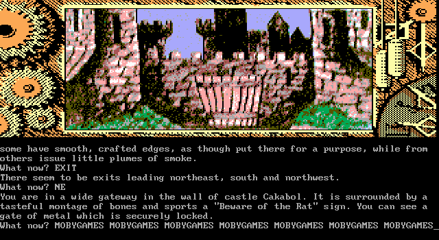 Time and Magik: The Trilogy (DOS) screenshot: Red Moon - Castle (EGA)