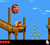 Donkey Kong Land III (Game Boy Color) screenshot: Maybe you should head down...