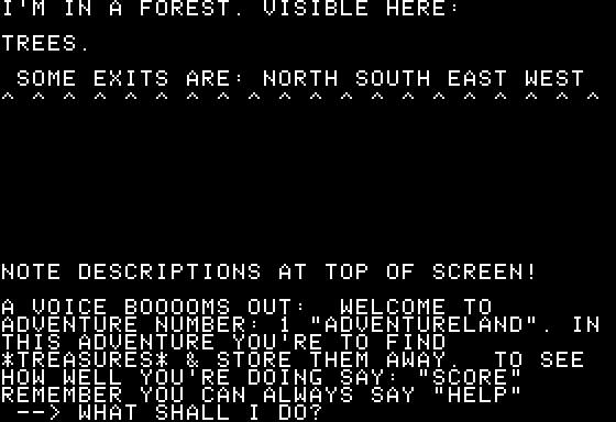 Scott Adams' Graphic Adventure #1: Adventureland (Apple II) screenshot: Setting the scene
