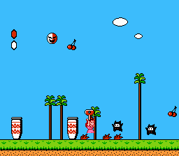 Super Mario Bros. 2 (NES) screenshot: ...and Phanto will hunt you down.