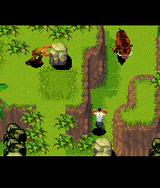 Lost: The Game (J2ME) screenshot: Locke will help you to get rid of the boar.