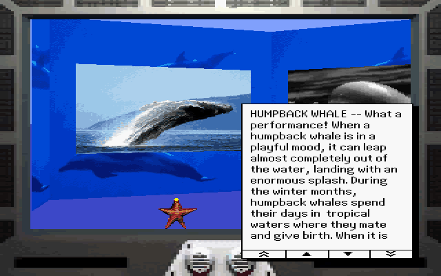 Undersea Adventure (DOS) screenshot: Humpback whale