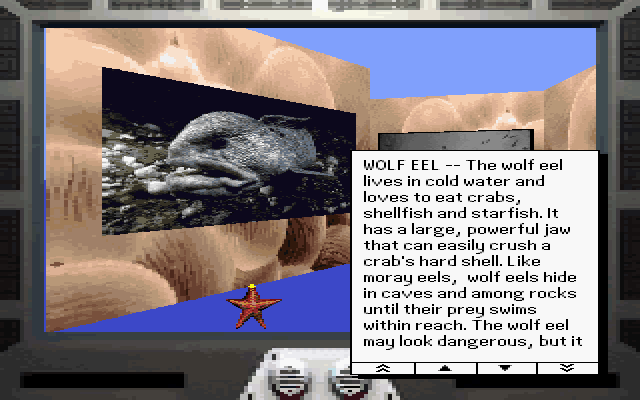 Undersea Adventure (DOS) screenshot: Wolf eel