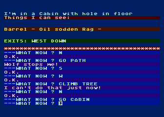 The Golden Baton (Atari 8-bit) screenshot: I'm in a cabin with a hole in the floor