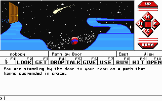 Dream Zone (DOS) screenshot: Path by door (VGA)