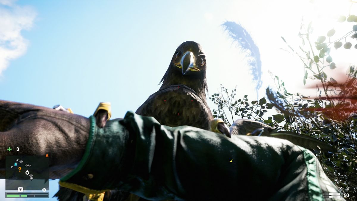 Far Cry 4 (PlayStation 4) screenshot: Attacked by a hawk