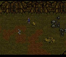 J.R.R. Tolkien's Lord of the Rings: Volume One (SNES) screenshot: Fighting snakes outside of Hobbiton