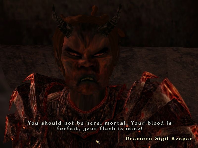 The Elder Scrolls IV: Oblivion (Windows) screenshot: Looks like someone took the evil path in Fable