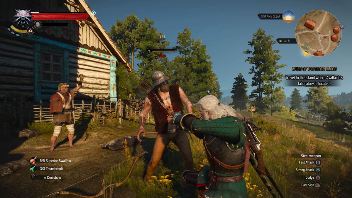 Screenshot of The Witcher 3 Wild Hunt New Quest "Fool's Gold