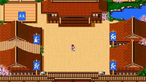 EA Replay (PSP) screenshot: Budokan in full screen mode (stretch 4:3)