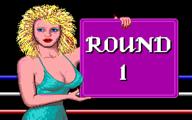 TKO (DOS) screenshot: Begin round 1 (MCGA)