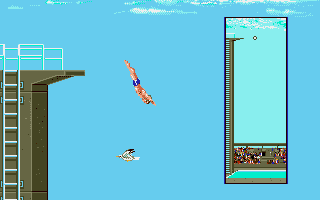 Summer Challenge (Amiga) screenshot: There is a bird flying!