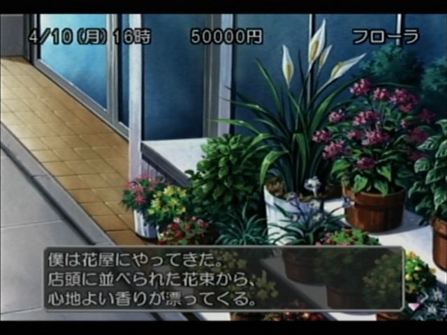 Sentimental Graffiti 2 (Dreamcast) screenshot: Flower store