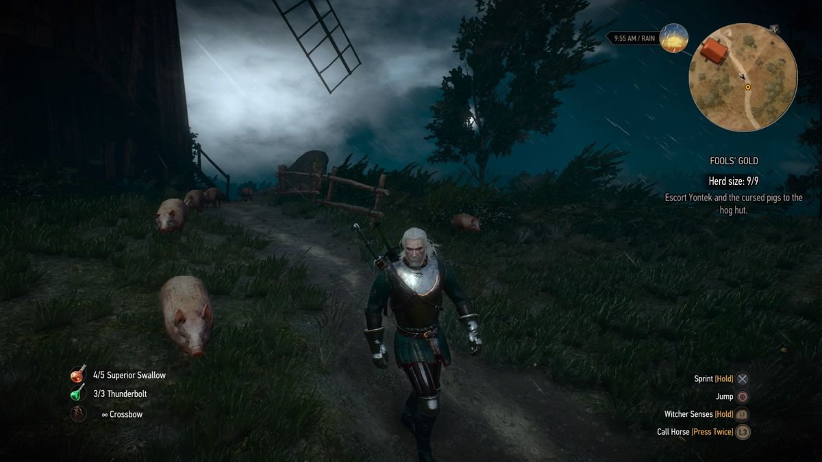 Screenshot of The Witcher 3 Wild Hunt New Quest "Fool's Gold