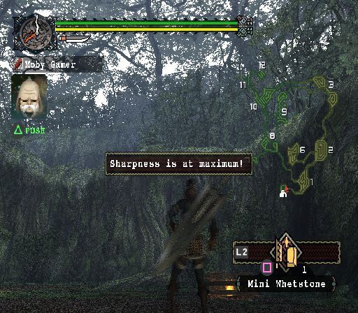 Monster Hunter (PlayStation 2) screenshot: Having plundered a handy chest we now have a map, we're still wandering about with no clear direction but we have a map and a sharp sword<br>Trial version