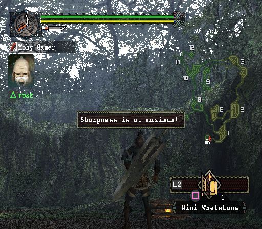 Screenshot of Monster Hunter (PlayStation 2, 2004) - MobyGames