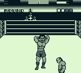 George Foreman's KO Boxing (Game Boy) screenshot: The winner!