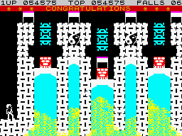 Bruce Lee (ZX Spectrum) screenshot: The End? Not quite.