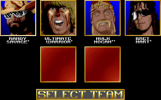 WWF European Rampage Tour (DOS) screenshot: Picking your team's members.