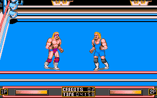 WWF Wrestlemania (DOS) screenshot: Here we are on the mat.