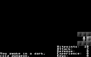 Dungeon Crawl (Commodore 64) screenshot: The game starts here.