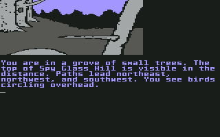 Treasure Island (Commodore 64) screenshot: Glade.