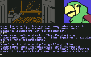Treasure Island (Commodore 64) screenshot: Parrot.