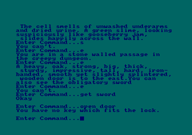 Dungeons, Amethysts, Alchemists 'n' Everythin' (Amstrad CPC) screenshot: Elaborate-yet-satirically-pointless door description