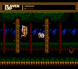 Sword Master (NES) screenshot: Level 1 is in the forest