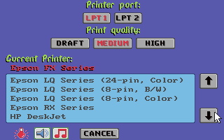 Snap Dragon (DOS) screenshot: Printer Options