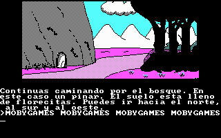 Don Quijote (DOS) screenshot: Path