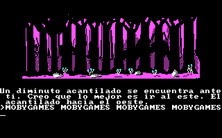 Don Quijote (DOS) screenshot: Forest