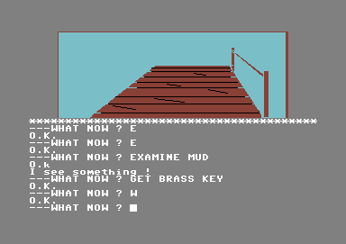 Ten Little Indians (Commodore 64) screenshot: The key should be useful