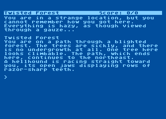 Sorcerer (Atari 8-bit) screenshot: Starting location