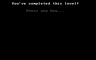 Dark Woods 2 (DOS) screenshot: Level success!