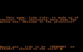 Caverns of Chaos (DOS) screenshot: You have made some horrible mistake
