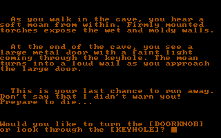 Caverns of Chaos (DOS) screenshot: One last chance to turn aside