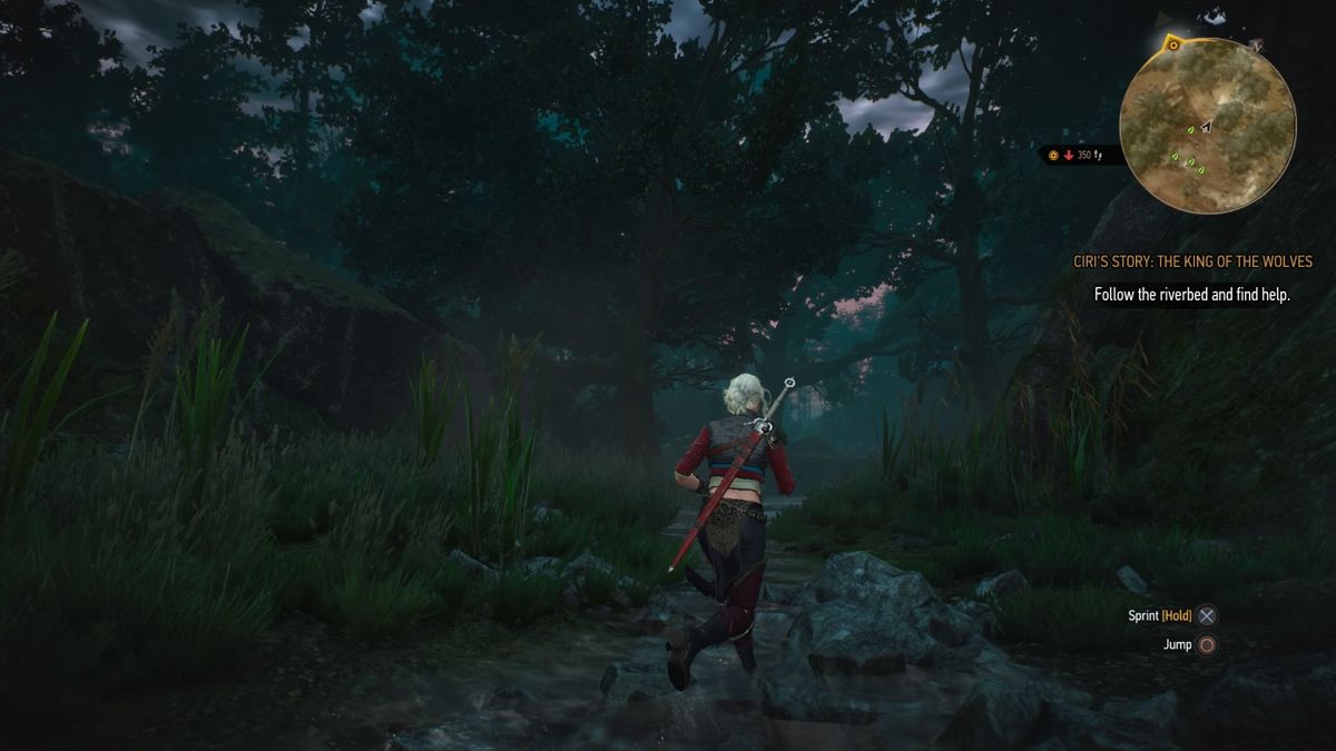 The Witcher 3: Wild Hunt - Alternative Look for Ciri (PlayStation 4) screenshot: Following the stream