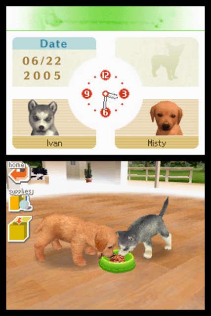 Nintendogs: Lab & Friends (Nintendo DS) screenshot: Dogs can share!