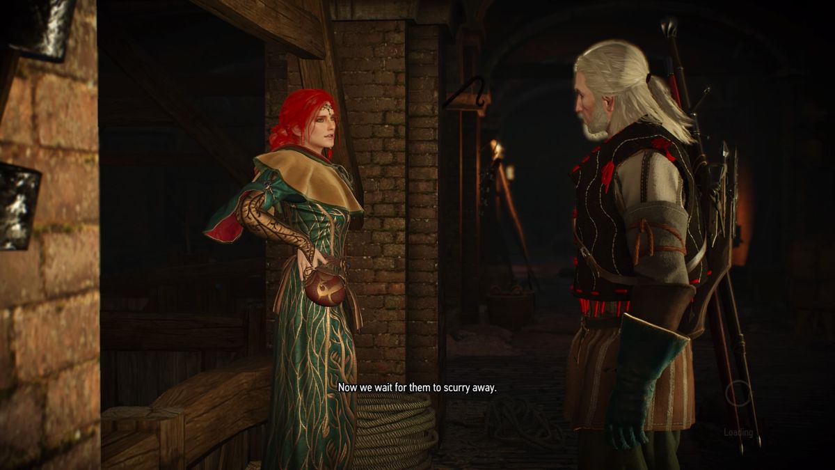 The Witcher 3: Wild Hunt - Alternative Look for Triss (PlayStation 4) screenshot: Dealing with the rat infestation