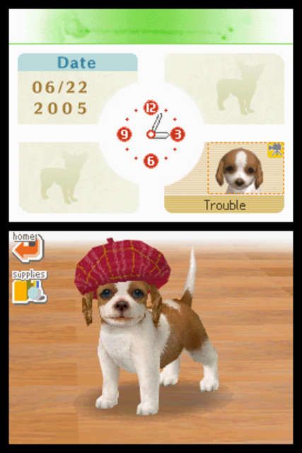 Nintendogs: Lab & Friends (Nintendo DS) screenshot: Like real dogs, Nintendogs don't know when they look ridiculous.