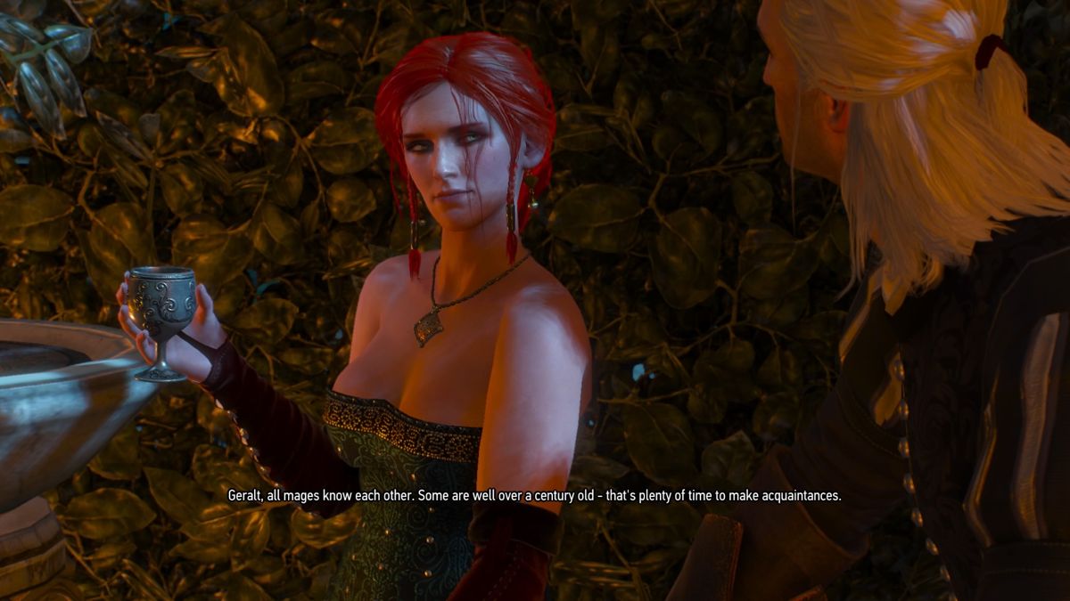 The Witcher 3: Wild Hunt - Alternative Look for Triss (PlayStation 4) screenshot: Geralt is being jealous