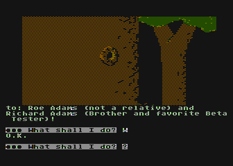 Sorcerer of Claymorgue Castle (Atari 8-bit) screenshot: I am in the forest.