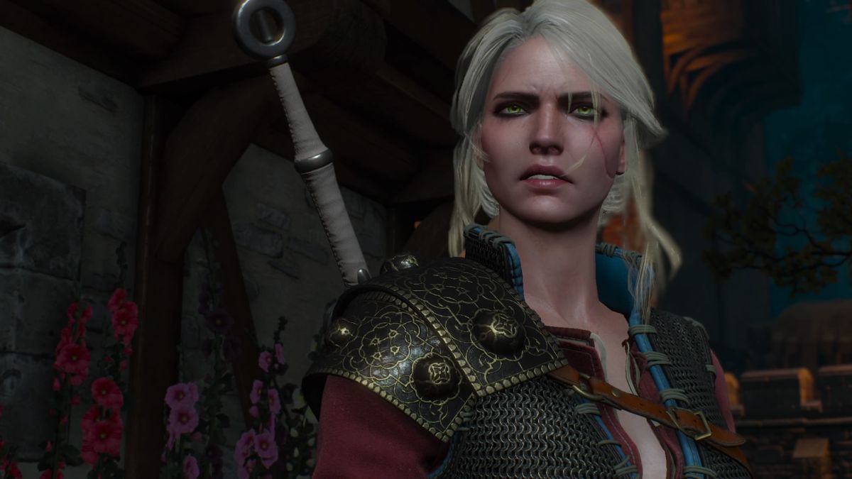 The Witcher 3: Wild Hunt - Alternative Look for Ciri (PlayStation 4) screenshot: Time to leave Novigrad